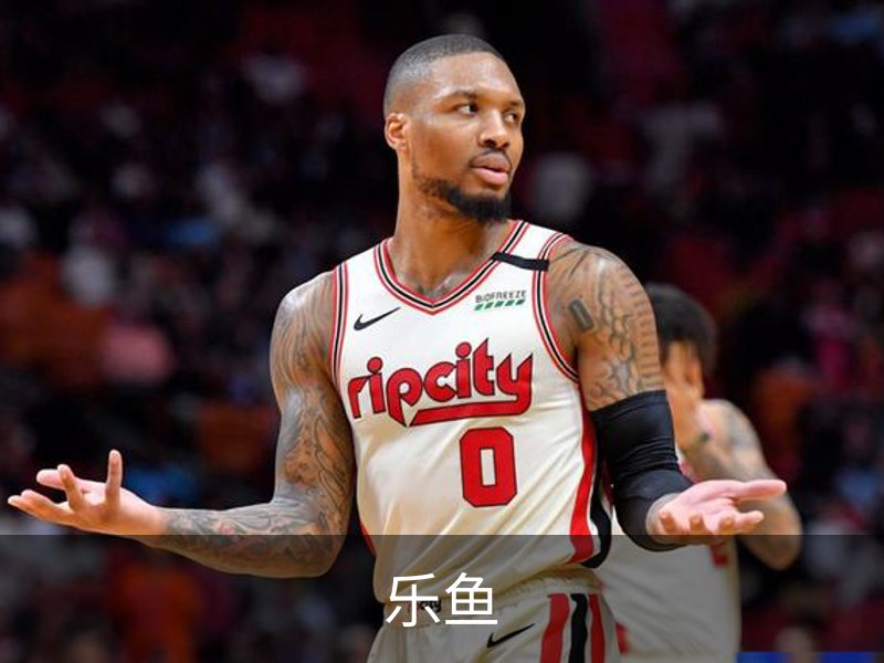 乐鱼简介
